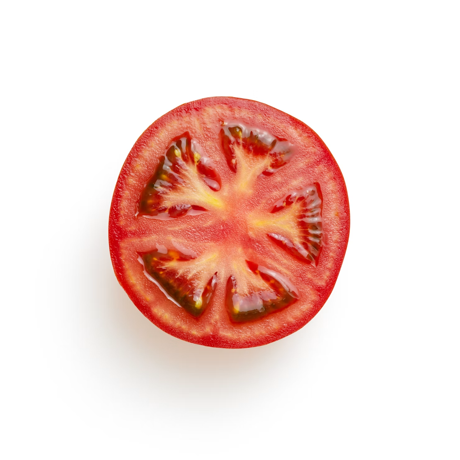 A slice of fresh tomato